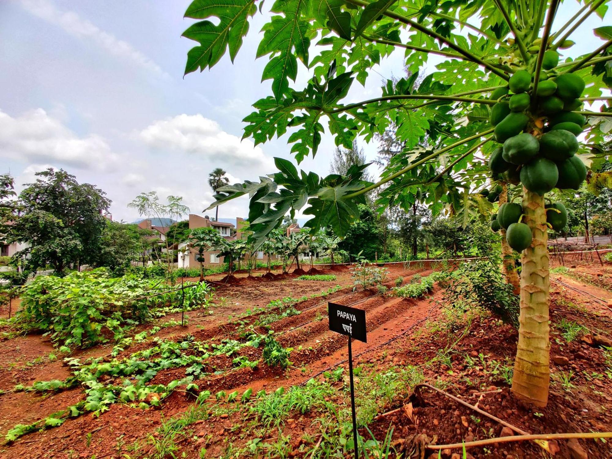 Pushpam Sanskruti Resort Karjat - A Pure Veg Resort Dhamni Ngoại thất bức ảnh