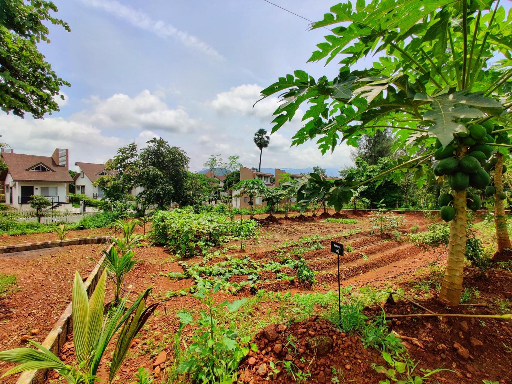 Pushpam Sanskruti Resort Karjat - A Pure Veg Resort Dhamni Ngoại thất bức ảnh